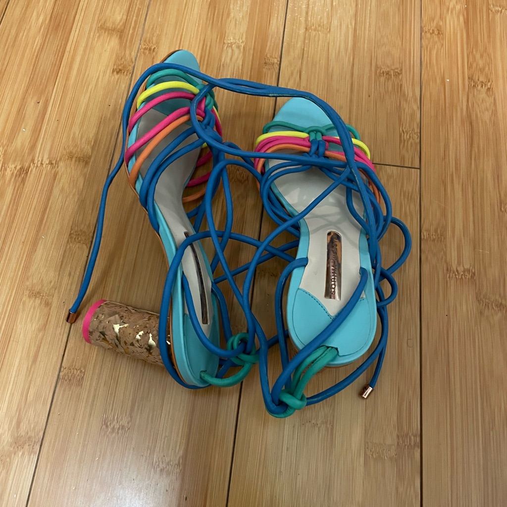 Sophia Webster Spring Heels